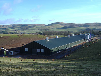 Poultry Unit - BHC Agricultural Steelwork Contractor