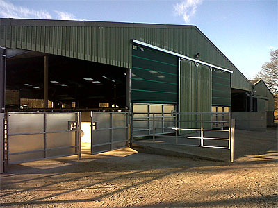 Cattle Shed - BHC Agricultural Steelwork Contractor