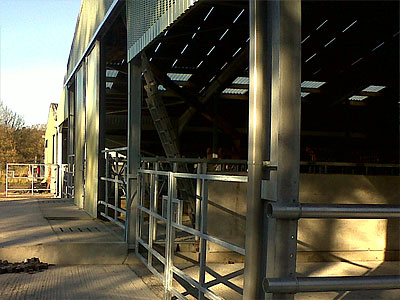 Cattle Shed - BHC Agricultural Steelwork Contractor