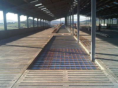 Dairy Farm Construction - BHC Agricultural Steelwork Contractor