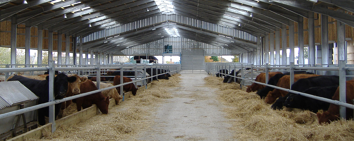 BHC Agricultural Steelwork Contractor
