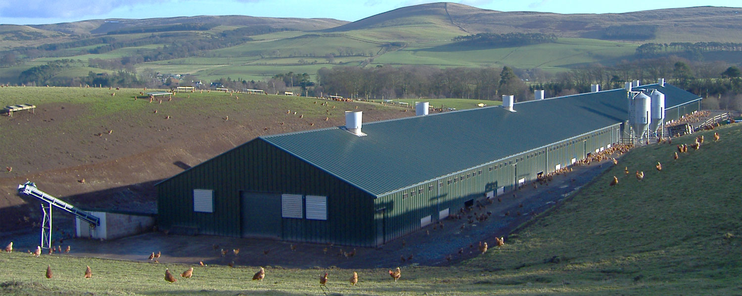 BHC Agricultural Steelwork Contractor
