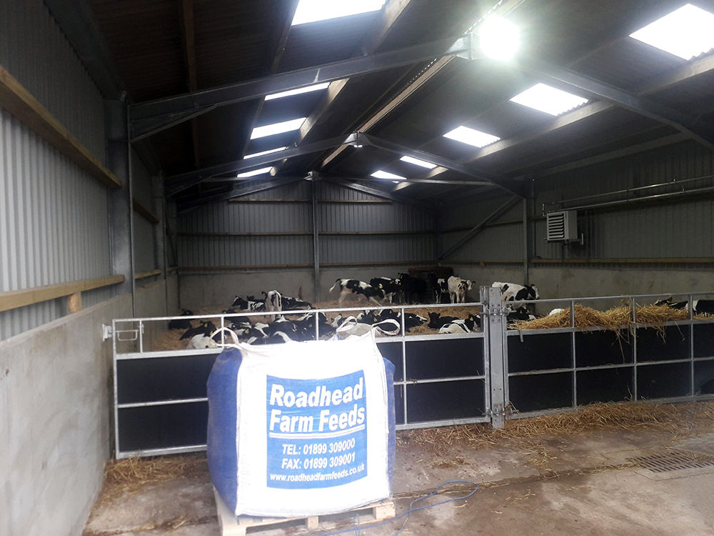 Calving Shed Concrete Pour 