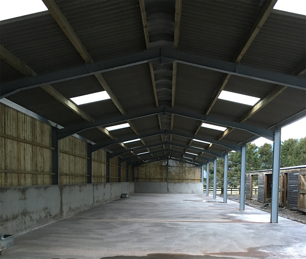 Throwback Thursday: Sheep Shed