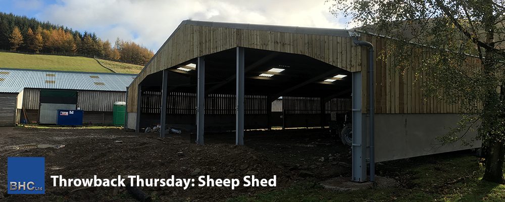 Throwback Thursday - Sheep Shed