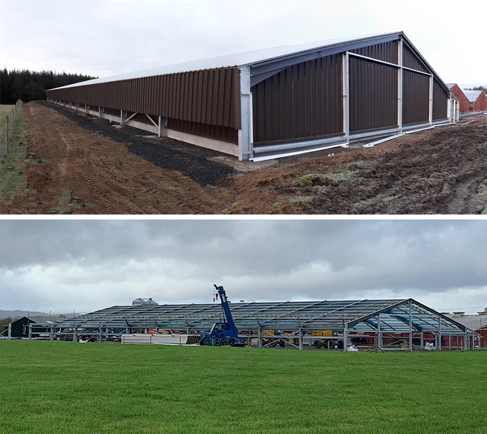 Poultry Rearing Shed in Perthshire - Before and After